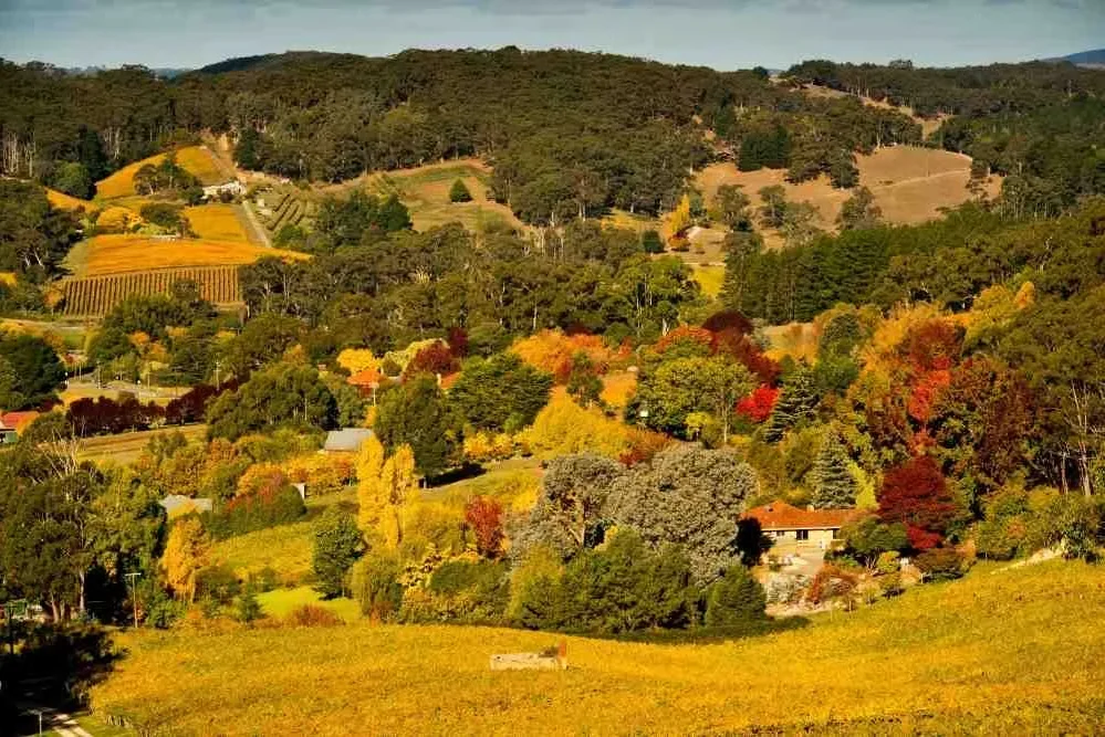 5 Must-Visit Destinations in Adelaide with Your Rental Car